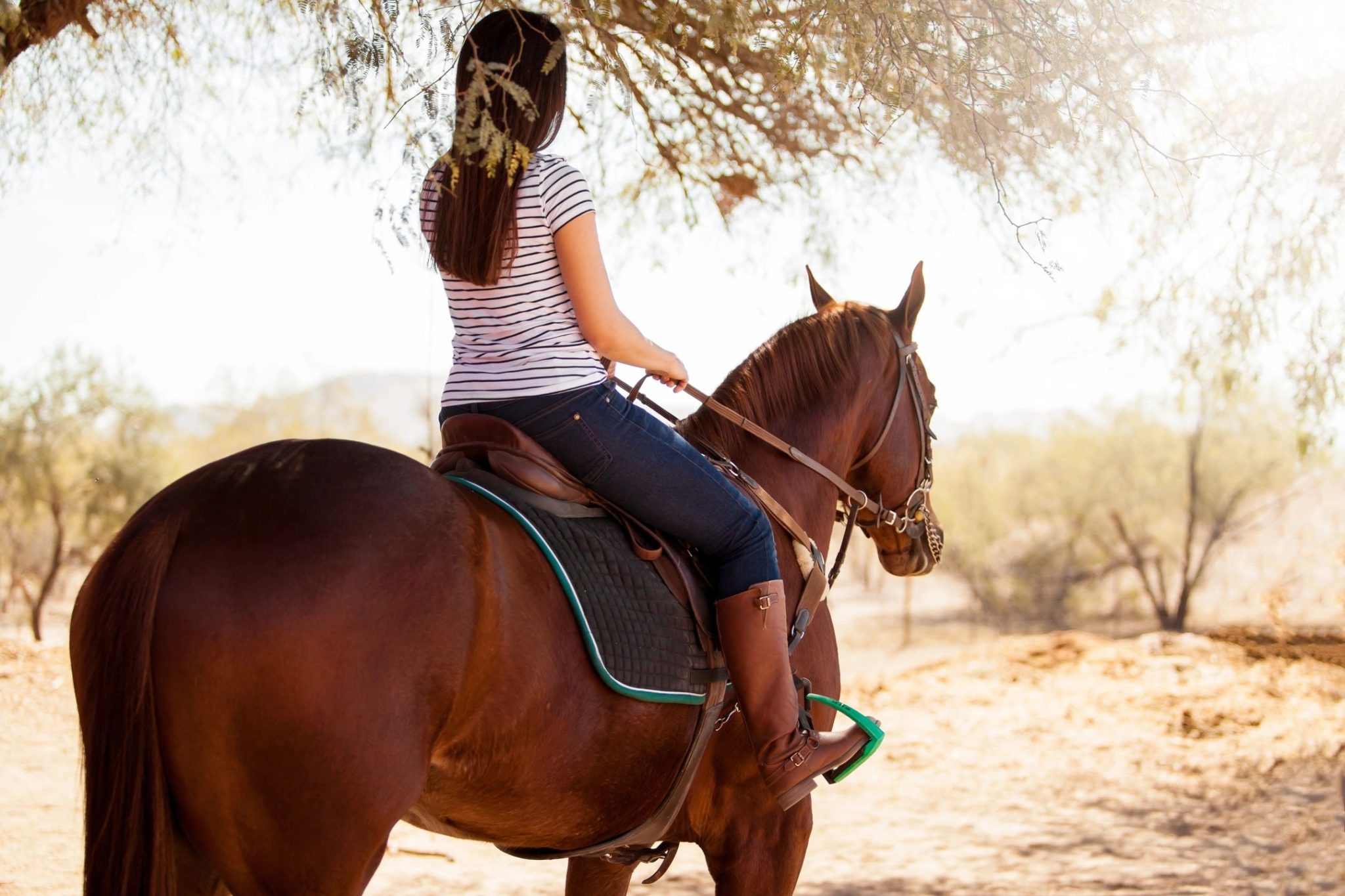 equestrian center